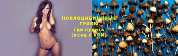 шишки Россошь