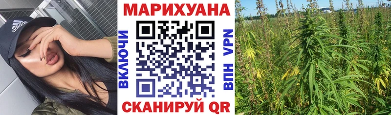 Шишки марихуана конопля  сайты даркнета как зайти  Тихорецк 